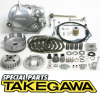 TAKEGAWA