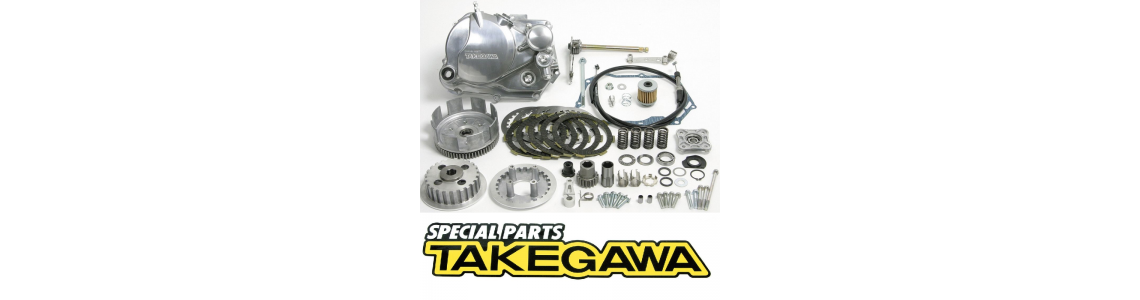 TAKEGAWA