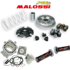 MALOSSI