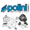 POLINI